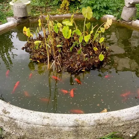 L'antico Giardino Vietri sul Mare