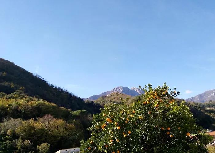 L'antico Giardino B&B Vietri